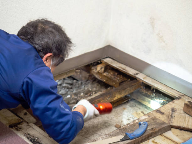 Best Water Damage Restoration  in Henderson, NC