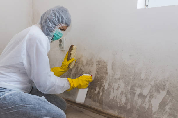 Best Mold Testing  in Henderson, NC