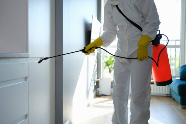 Trusted Henderson, NC Mold Removal Experts