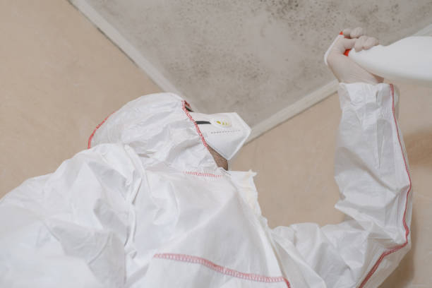 Best Commercial Mold Removal  in Henderson, NC