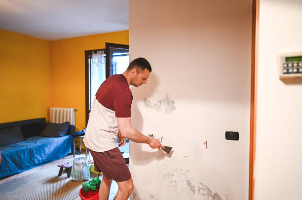 Best Attic Mold Removal  in Henderson, NC
