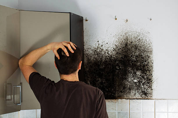 Best Crawl Space Mold Removal  in Henderson, NC
